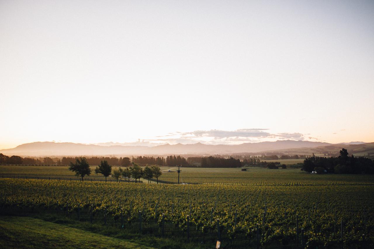 Black Estate B & B Waipara Exterior photo